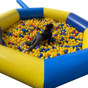 location piscine a boules