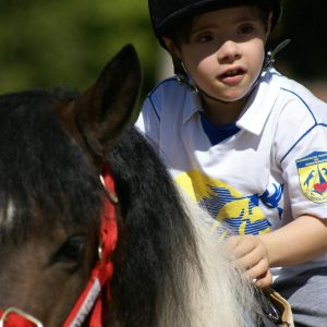 Animation Poney